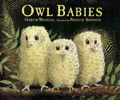 Les bébés hiboux - Owl Babies