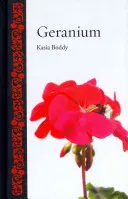 Géranium - Geranium