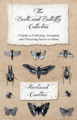 La collection de coléoptères et de papillons - Un guide pour collectionner, arranger et préserver les insectes à la maison - The Beetle and Butterfly Collection - A Guide to Collecting, Arranging and Preserving Insects at Home
