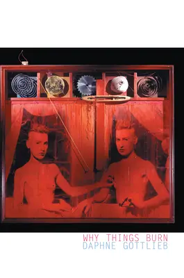 Pourquoi les choses brûlent - Why Things Burn