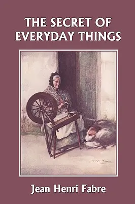 Le secret des choses quotidiennes (Classiques d'hier) - The Secret of Everyday Things (Yesterday's Classics)