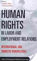 Les droits de l'homme dans les relations de travail et d'emploi : Perspectives internationales et nationales - Human Rights in Labor and Employment Relations: International and Domestic Perspectives