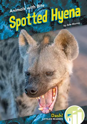 Hyène tachetée - Spotted Hyena