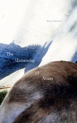 L'innommable d'Aliass - The Unnaming of Aliass