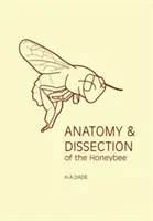 Anatomie et dissection de l'abeille domestique - Anatomy and Dissection of the Honeybee