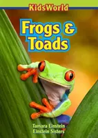 Grenouilles et crapauds - Frogs & Toads