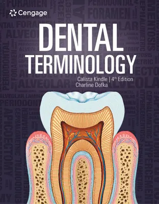 Terminologie dentaire - Dental Terminology
