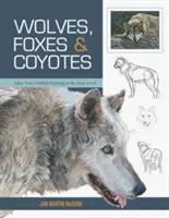 Loups, renards et coyotes (Les bases de la peinture animalière) - Wolves, Foxes & Coyotes (Wildlife Painting Basics)
