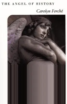 L'ange de l'histoire - The Angel of History