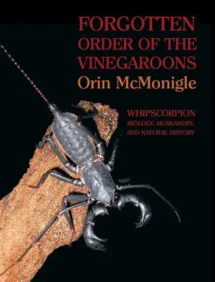 L'ordre oublié des vignegarons : Biologie, élevage et histoire naturelle du Whipscorpion - Forgotten Order of the Vinegaroons: Whipscorpion Biology, Husbandry, and Natural History