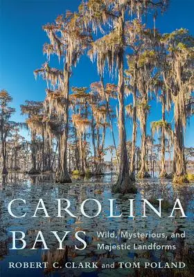 Carolina Bays : Des formes de relief sauvages, mystérieuses et majestueuses - Carolina Bays: Wild, Mysterious, and Majestic Landforms