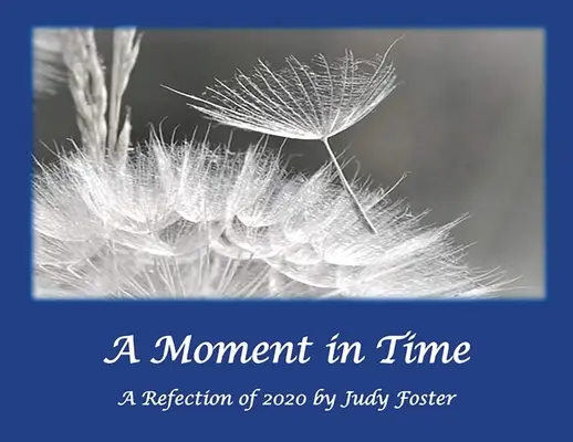 Un moment dans le temps : une réflexion sur 2020 - A Moment in Time: A Reflection of 2020