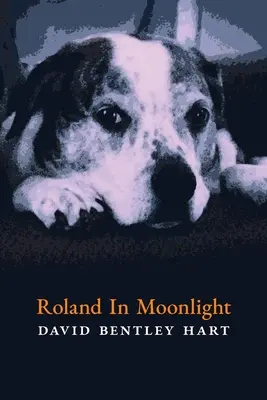 Roland au clair de lune - Roland in Moonlight