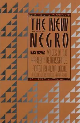 Le nouveau noir - The New Negro