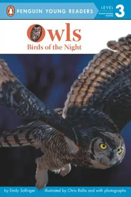 Hiboux : les oiseaux de la nuit - Owls: Birds of the Night