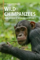 Chimpanzés sauvages : Le comportement social d'une espèce en voie de disparition - Wild Chimpanzees: Social Behavior of an Endangered Species