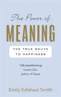 Le pouvoir du sens - La véritable voie du bonheur - Power of Meaning - The true route to happiness