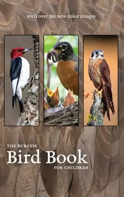 Le livre des oiseaux de Burgess avec de nouvelles images en couleur - The Burgess Bird Book with new color images
