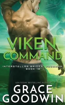 Commandement Viken - Viken Command