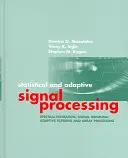 Traitement statistique et adaptatif des signaux - Statistical & Adaptive Signal Processing
