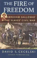 Le feu de la liberté : Abraham Galloway et la guerre civile des esclaves - The Fire of Freedom: Abraham Galloway and the Slaves' Civil War
