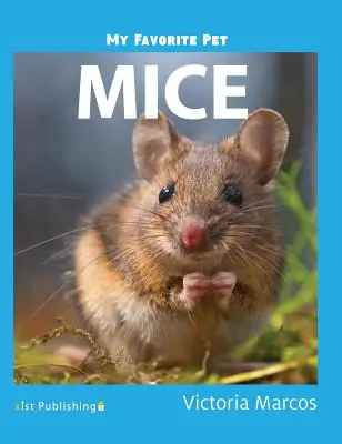 Mon animal préféré : les souris Les souris - My Favorite Pet: Mice