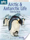 Livre à colorier sur l'Arctique et l'Antarctique, 3e-5e année - Arctic and Antarctic Coloring Book, Grades 3-5