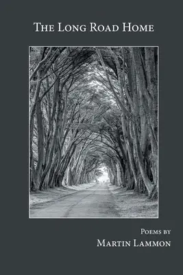 Le long chemin du retour - The Long Road Home