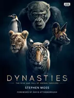 Dynasties - L'ascension et la chute des familles animales - Dynasties - The Rise and Fall of Animal Families