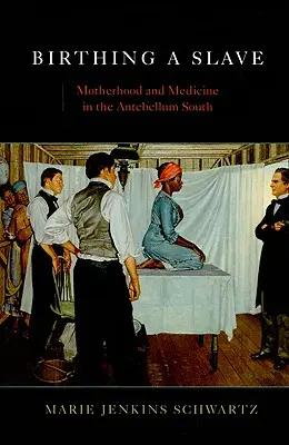 Accoucher d'une esclave : Maternité et médecine dans le Sud de l'Antebellum - Birthing a Slave: Motherhood and Medicine in the Antebellum South