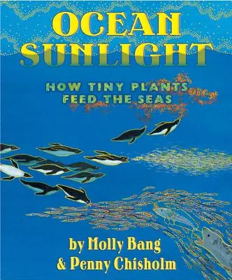 Le soleil des océans : comment de minuscules plantes nourrissent les mers - Ocean Sunlight: How Tiny Plants Feed the Seas