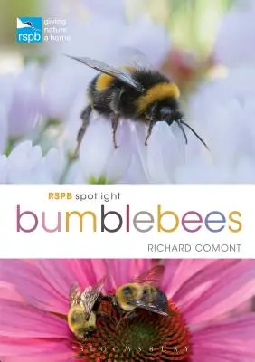 Les bourdons sous les projecteurs de la RSPB - RSPB Spotlight Bumblebees