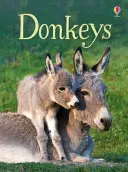 Les ânes - Donkeys