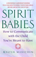 Spirit Babies : Comment communiquer avec l'enfant que vous êtes censé avoir - Spirit Babies: How to Communicate with the Child You're Meant to Have