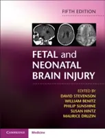 Lésions cérébrales fœtales et néonatales - Fetal and Neonatal Brain Injury