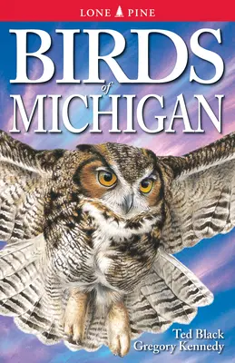 Les oiseaux du Michigan - Birds of Michigan