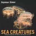 Créatures marines - Sea Creatures