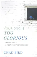 Votre Dieu est trop glorieux - Your God Is Too Glorious