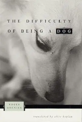 La difficulté d'être un chien - The Difficulty of Being a Dog