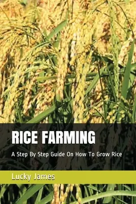 La culture du riz : La culture du riz : un guide pas à pas pour cultiver le riz - Rice Farming: A Step By Step Guide On How To Grow Rice