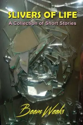 Fragments de vie : Un recueil de nouvelles - Slivers of Life: A Collection of Short Stories