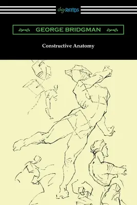 Anatomie constructive - Constructive Anatomy