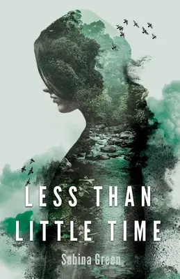 Moins que peu de temps - Less Than Little Time