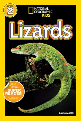 Lézards - Lizards