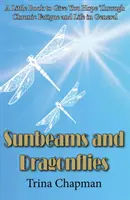 Rayons de soleil et libellules - Un petit livre pour vous donner de l'espoir face à la fatigue chronique et à la vie en général - Sunbeams and Dragonflies - A Little Book to Give You Hope Through Chronic Fatigue and Life in General