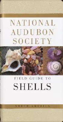 National Audubon Society Field Guide to North American Seashells (en anglais) - National Audubon Society Field Guide to North American Seashells