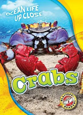 Crabes - Crabs