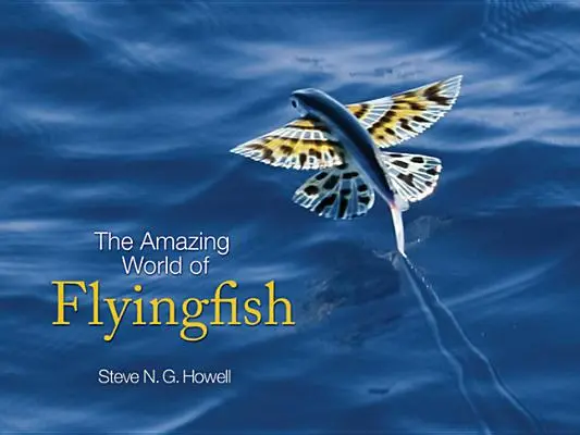 Le monde étonnant des poissons volants - The Amazing World of Flyingfish