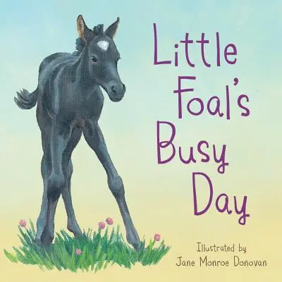 La journée chargée du petit poulain - Little Foal's Busy Day