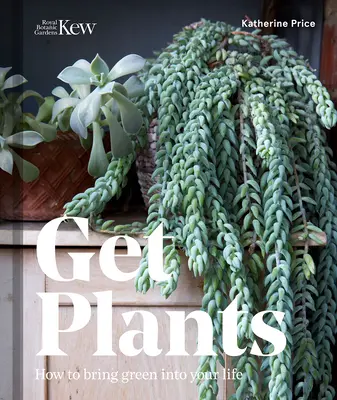 Get Plants : Comment mettre du vert dans votre vie - Get Plants: How to Bring Green Into Your Life